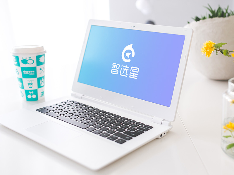 智选星LOGO设计